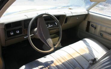 Plymouth-1977-5