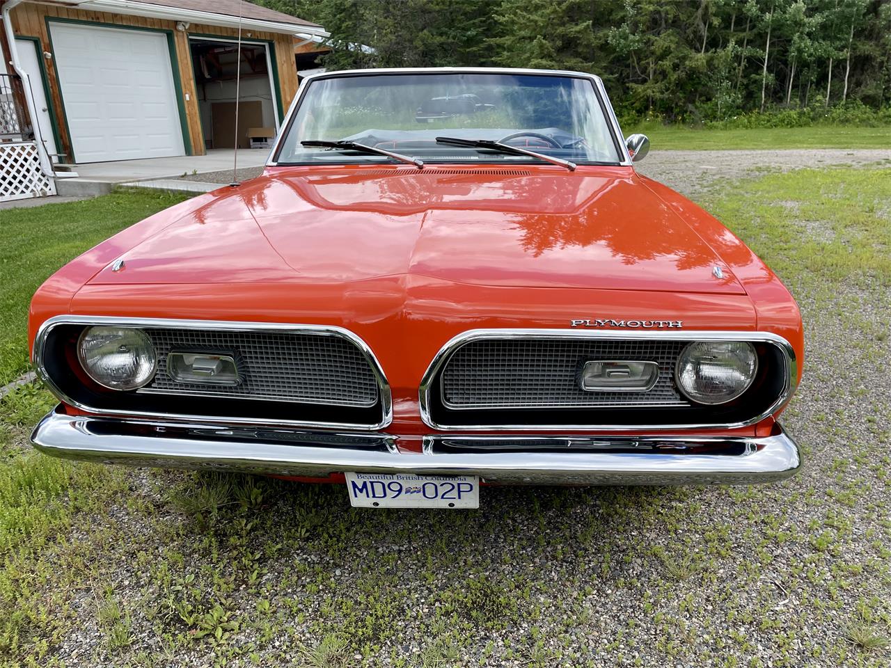 Plymouth-Barracuda-1969-Orange-Black-4