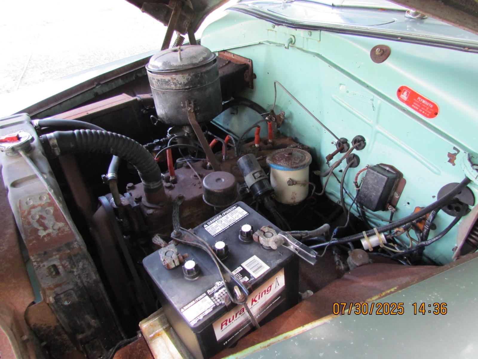 Plymouth-Cranbrook-1951-26