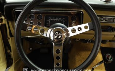 Plymouth-Duster-1975-Golden-Fawn-Gold-33