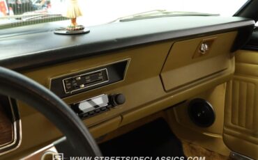 Plymouth-Duster-1975-Golden-Fawn-Gold-38