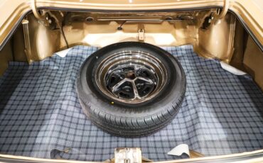 Plymouth-Gtx-1969-Spanish-Gold-White-11