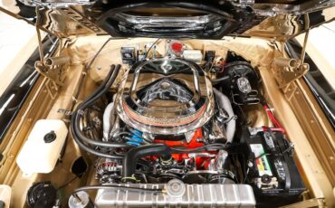 Plymouth-Gtx-1969-Spanish-Gold-White-2