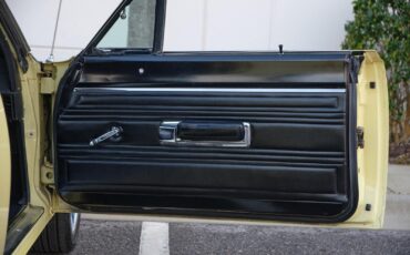 Plymouth-Road-Runner-1969-2-Door-29