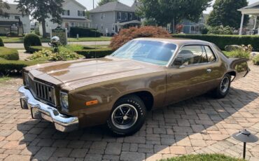 Plymouth-Road-Runner-1975-Coupe-12