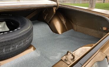 Plymouth-Road-Runner-1975-Coupe-14