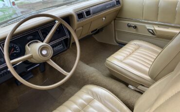 Plymouth-Road-Runner-1975-Coupe-17