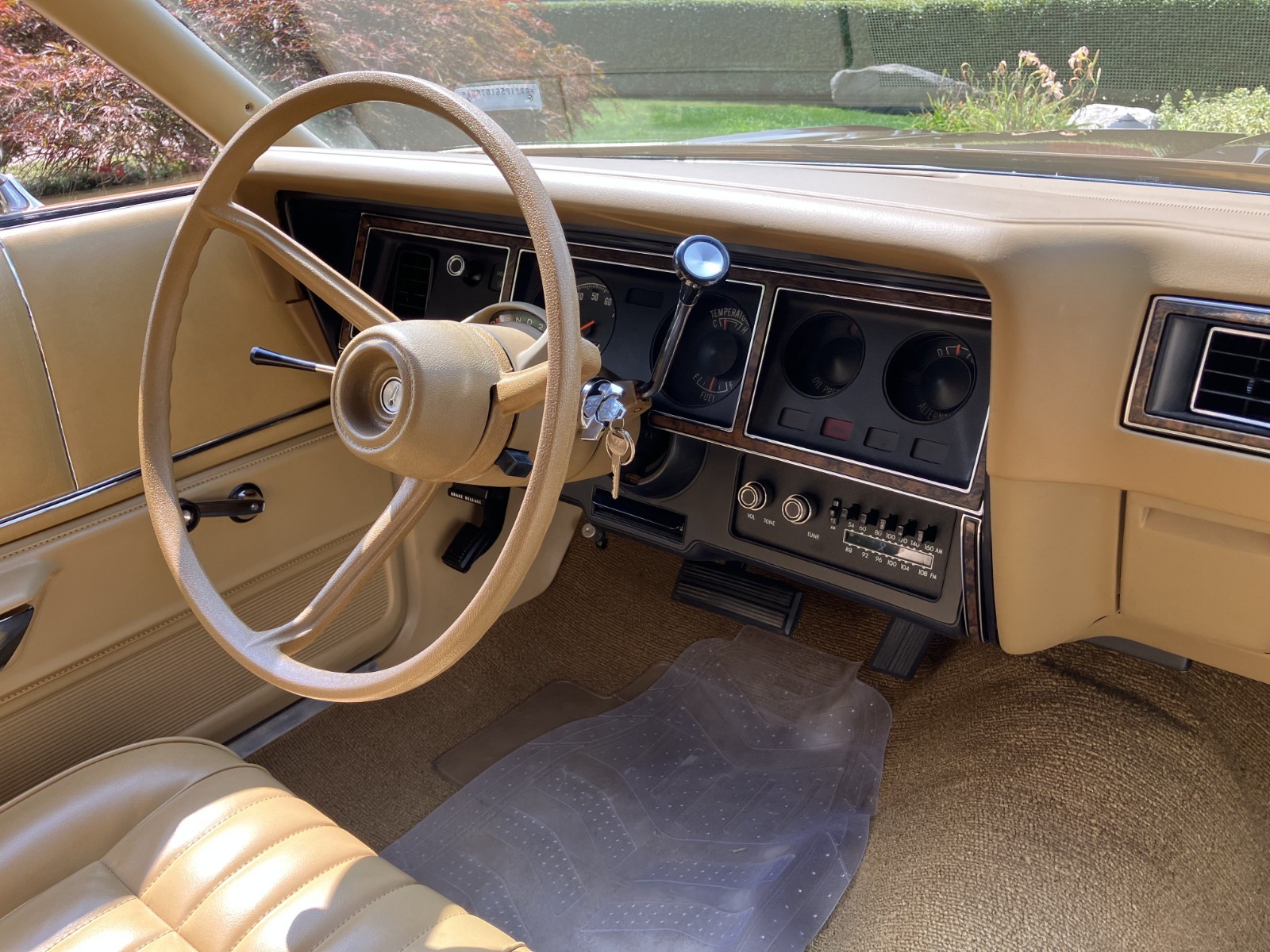 Plymouth-Road-Runner-1975-Coupe-18
