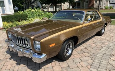 Plymouth-Road-Runner-1975-Coupe-2
