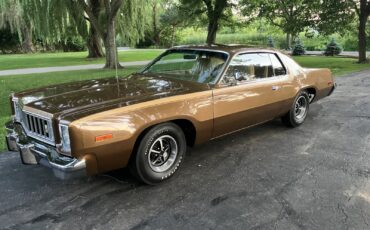 Plymouth-Road-Runner-1975-Coupe