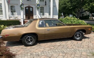 Plymouth-Road-Runner-1975-Coupe-4