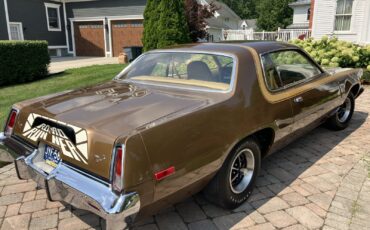 Plymouth-Road-Runner-1975-Coupe-5