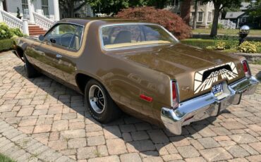 Plymouth-Road-Runner-1975-Coupe-7