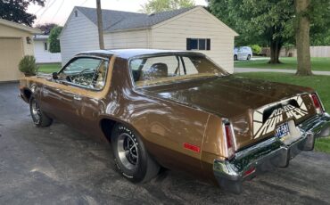 Plymouth-Road-Runner-1975-Coupe-8