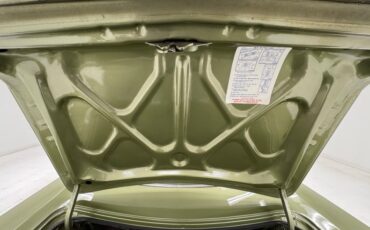 Plymouth-Road-runner-1969-Frost-Green-Metallic-Light-Green-4