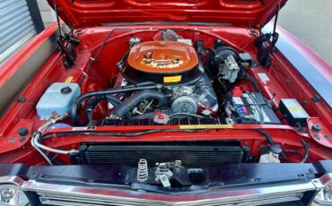 Plymouth-Road-runner-1969-Performance-Red-Black-4