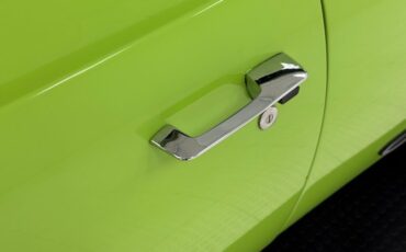 Plymouth-Road-runner-1969-Sublime-Green-Black-25