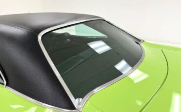 Plymouth-Road-runner-1969-Sublime-Green-Black-26