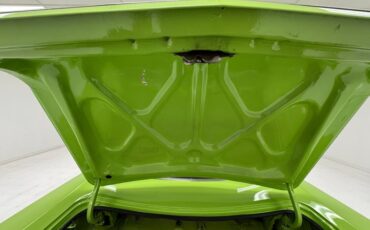 Plymouth-Road-runner-1969-Sublime-Green-Black-32