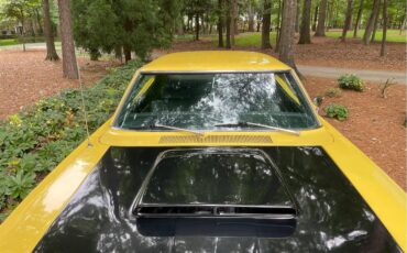 Plymouth-Road-runner-1969-Yellow-Black-13