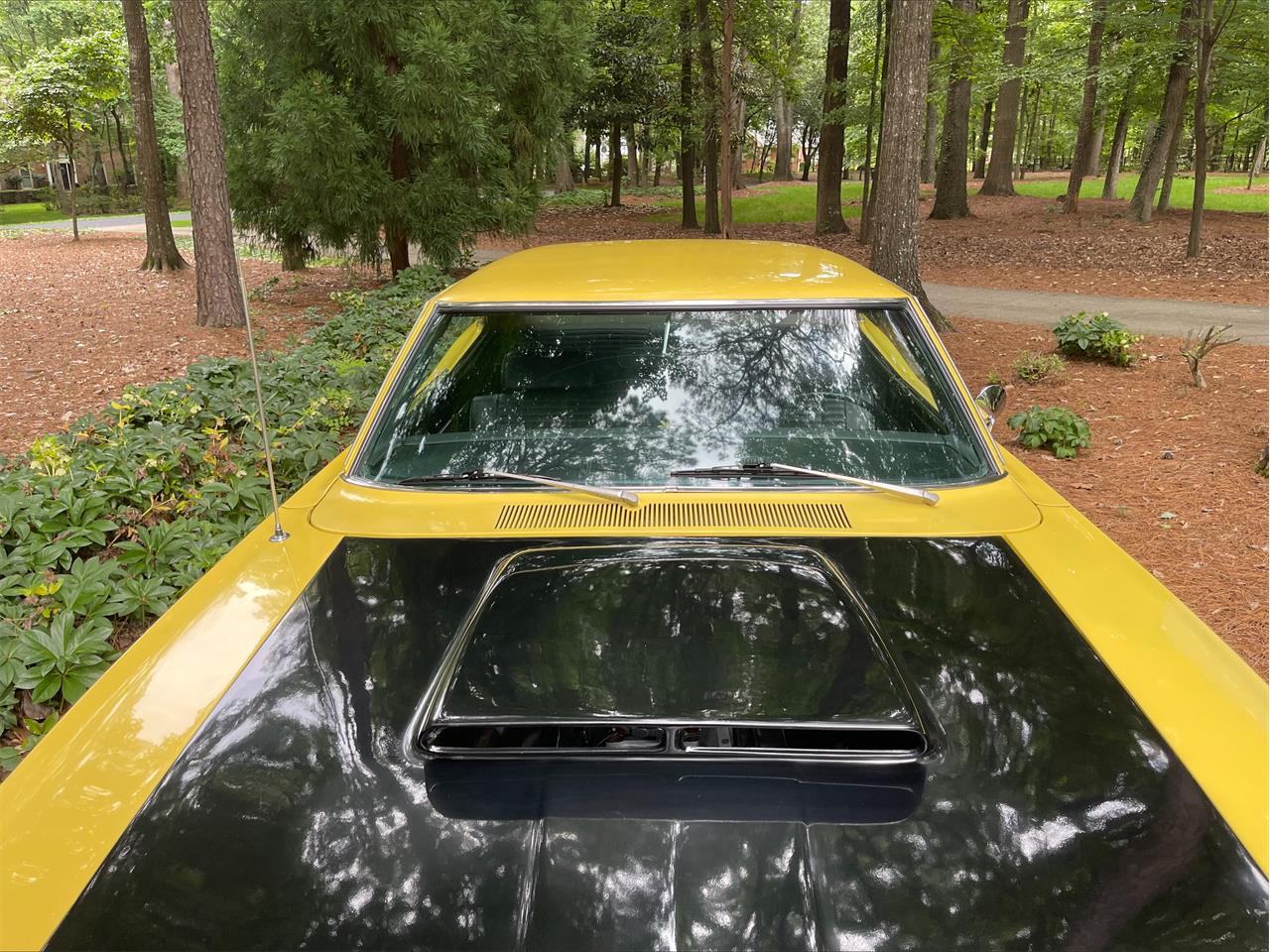 Plymouth-Road-runner-1969-Yellow-Black-13