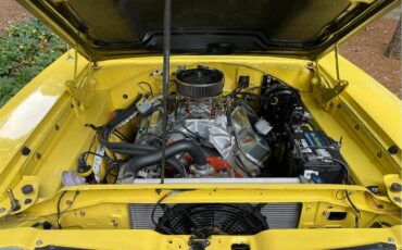 Plymouth-Road-runner-1969-Yellow-Black-17