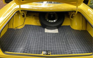 Plymouth-Road-runner-1969-Yellow-Black-18