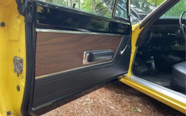 Plymouth-Road-runner-1969-Yellow-Black-27