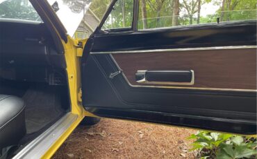 Plymouth-Road-runner-1969-Yellow-Black-5
