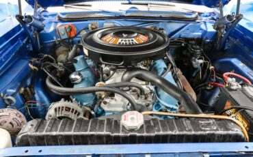 Plymouth-Road-runner-1971-BLUE-Blue-10