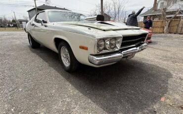 Plymouth-Road-runner-1974-White-Black-9