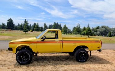 Plymouth-arrow-1980-18
