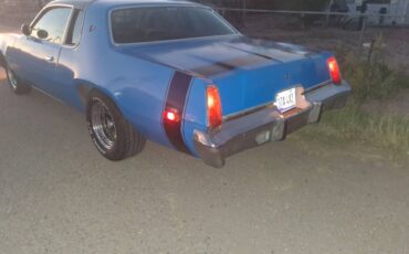 Plymouth-fury-1978-blue-13