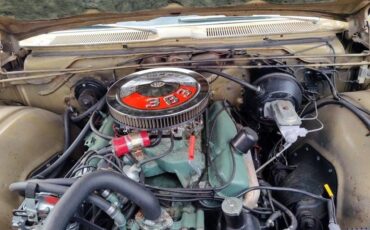 Plymouth-fury-iii-1967-6