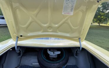 Plymouth-road-runner-1969-yellow-8