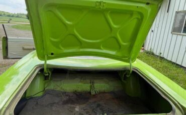Plymouth-road-runner-1970-green-1