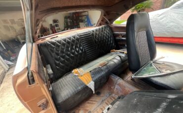 Plymouth-roadrunner-1969-brown-4