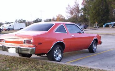 Plymouth-roadrunner-1977-4