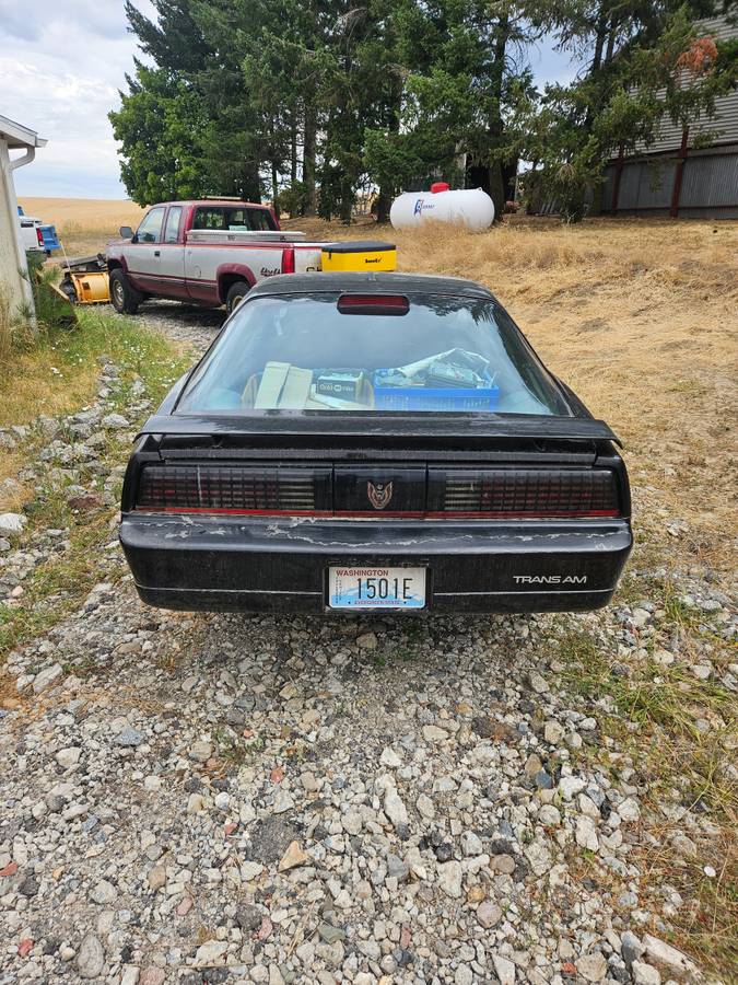Pontaic-transam-1986-black-1