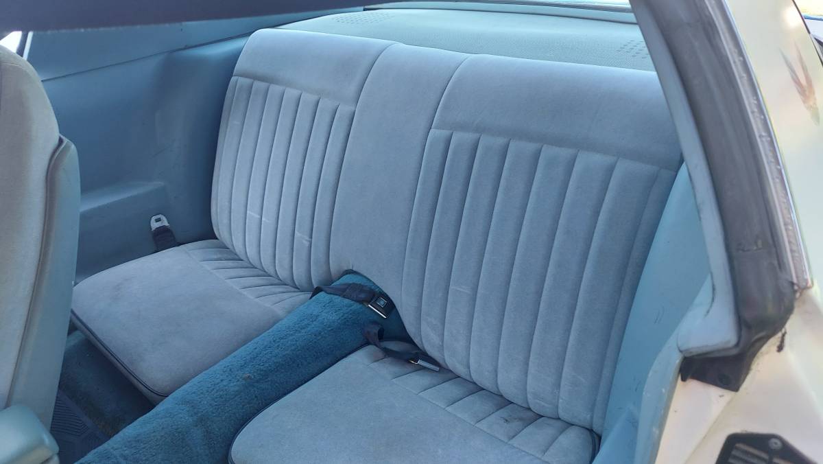 Pontiac-1979-5