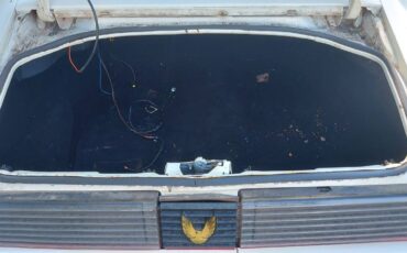 Pontiac-1979-9
