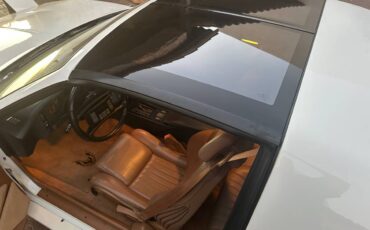 Pontiac-1989-14