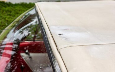 Pontiac-Catalina-1961-Shelltone-Ivory-Red-and-white-45