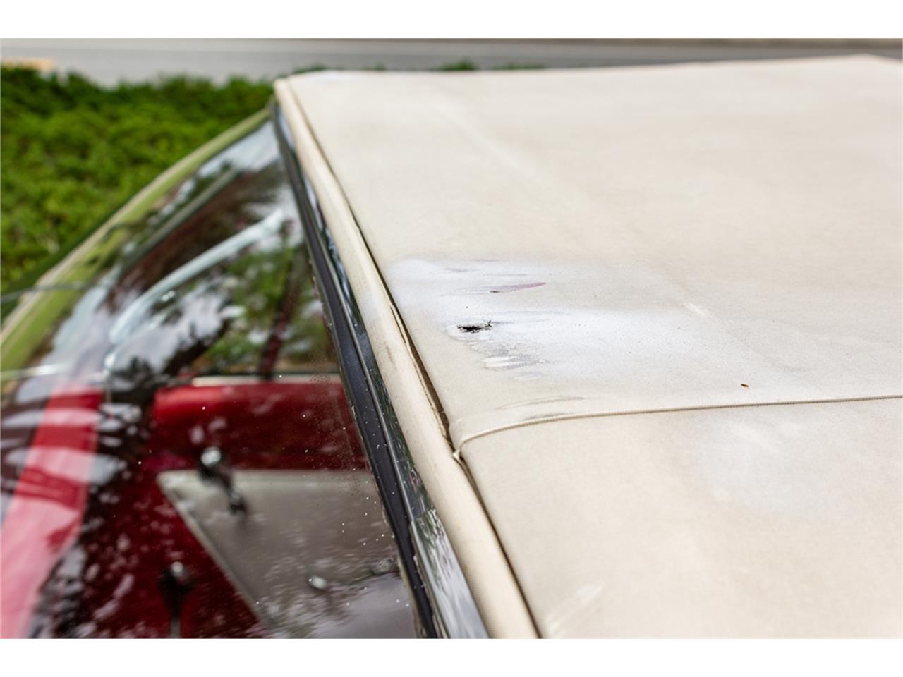 Pontiac-Catalina-1961-Shelltone-Ivory-Red-and-white-45