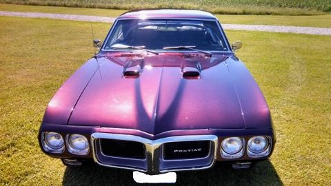 Pontiac-Firebird-1969-Black-Garnet-4
