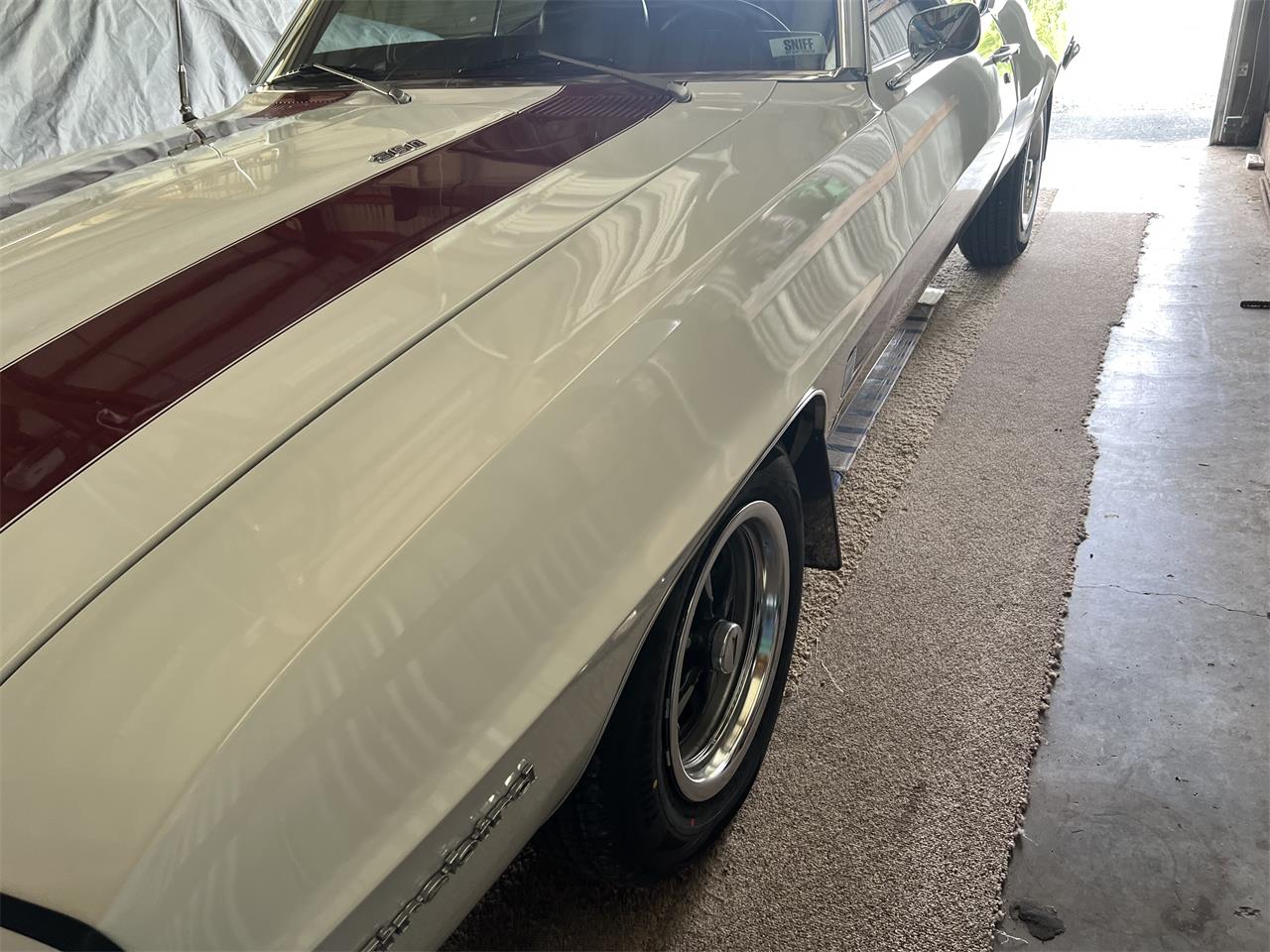 Pontiac-Firebird-1969-Pearl-White-burguney-Red-21