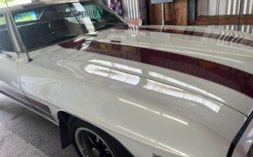 Pontiac-Firebird-1969-Pearl-White-burguney-Red-22