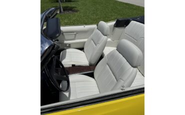 Pontiac-Firebird-1969-Yellow-White-4