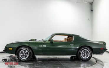 Pontiac-Firebird-1974-Coupe-12