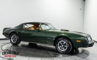 Pontiac-Firebird-1974-Coupe-19